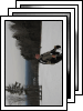 [03-skiing]