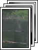 [06-crawford-notch]