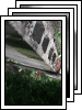 [07-landscaping]