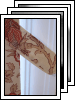 [01-curtains]