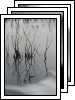 [03-broadmoor]