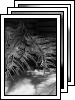 [03-misc]