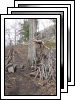 [04-breakheart-hike]