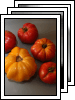 [08-crops]