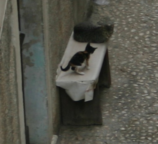 [img_7831.jpg]