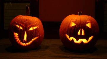 [pumpkins-1.small.jpg]