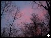 [pinksky.3]