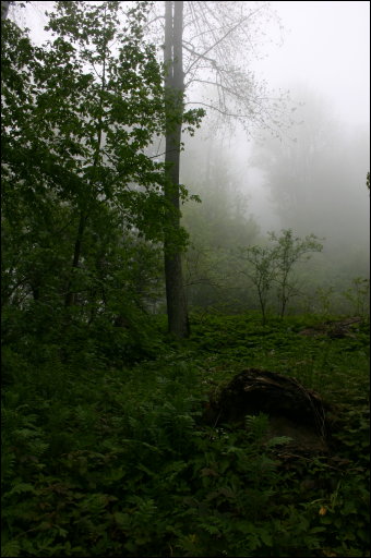 [img_5154.jpg]