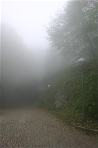 [img_5102.jpg]