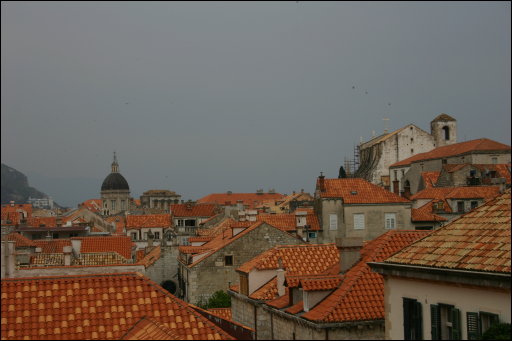 [img_7779.jpg]