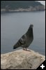 [img 7828]