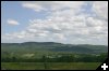 [img 8256]