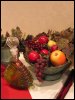 [img 8565]