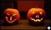 [pumpkins-2.medium]