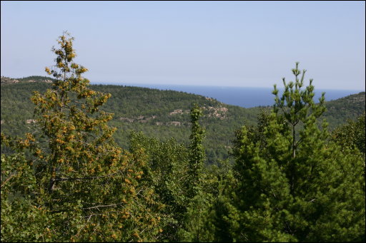 [img_0480.jpg]