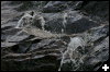 [IMG 2220]