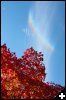 [IMG 0579 (Modified)]