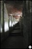[IMG 2883 (Modified (2))]