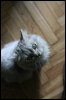 [IMG 3863]