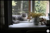 [IMG 3952]