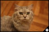 [2008-08-21 10:12 IMG 3860]