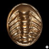 [hererodyne.large]