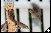 [img 4572 (Modified)]