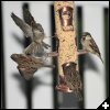 [img 4577 (Modified)]