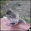 [img 4590 (Modified)]