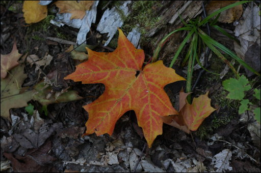 [img_9542.jpg]