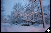[IMG 3647]